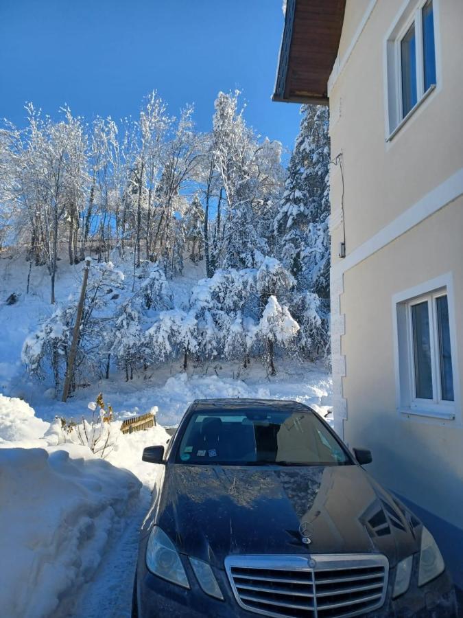 Ferienwohnung Gaensebluemchen Feistritz an der Gail Exteriör bild
